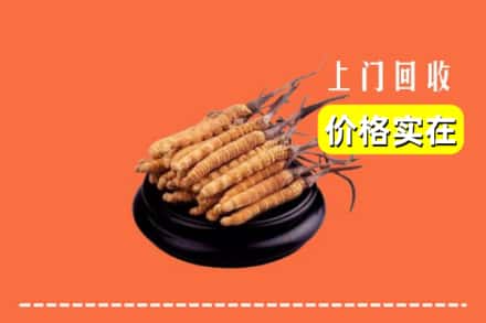 长洲区回收冬虫夏草