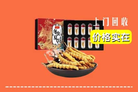 长洲区回收虫草